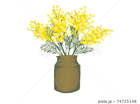 ミモザ アカシア レトロ 花瓶 春のイラスト ドライフラワー 植物柄のイラスト素材