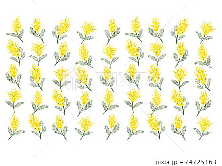 ミモザ アカシア レトロ ヴィンテージ 春のイラスト ドライフラワー 植物柄のイラスト素材