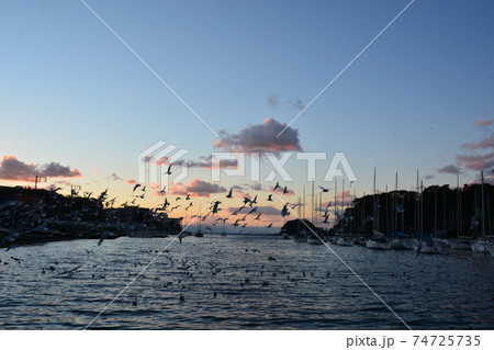 諸磯湾の夕暮れの空と船 74725735
