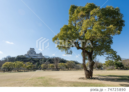 シロトピア記念公園と姫路城 シロトピア記念公園と姫路城 74725890