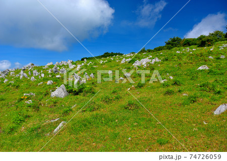 春の草原 津軽シャルドネ＆ピノ・ノワール スパークリング2019 – SUNTORY FROM
