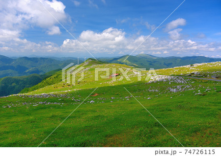 四国カルスト・天空の道より姫鶴平を望む・まるでアルプスのような、雄大な風景・愛媛県・高知県(3) 74726115