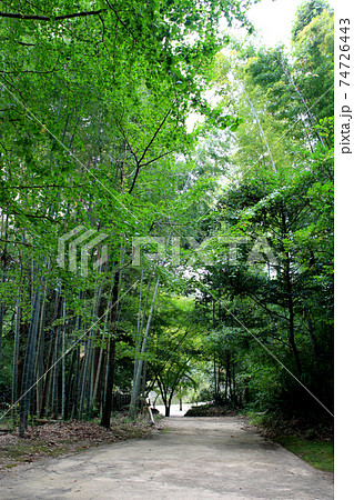 熊本の憩いの散策コース「立田自然公園」 細川家菩提寺泰勝寺跡 熊本の憩いの散策コース「立田自然公園」 細川家菩提寺泰勝寺跡 74726443
