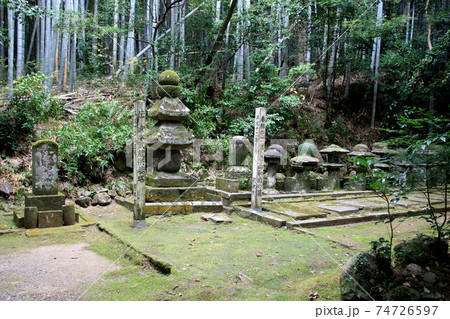 熊本の憩いの散策コース「立田自然公園」 細川家菩提寺泰勝寺跡 熊本の憩いの散策コース「立田自然公園」 細川家菩提寺泰勝寺跡 74726597