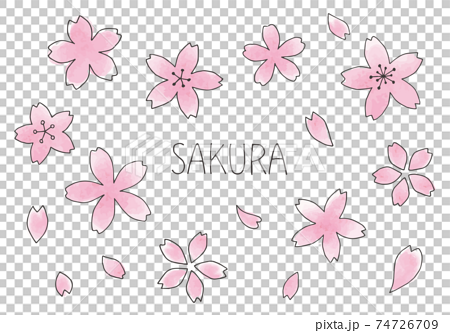 桜の花の手描きイラスト 線画 74726709