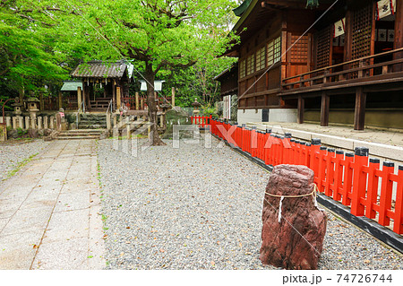 縁結びの杜、城山八幡宮〈愛知県名古屋市〉 縁結びの杜、城山八幡宮〈愛知県名古屋市〉 74726744