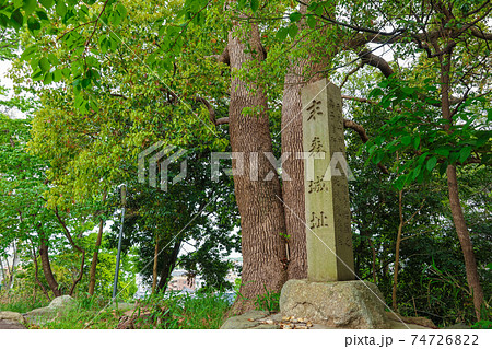 縁結びの杜、城山八幡宮〈愛知県名古屋市〉 縁結びの杜、城山八幡宮〈愛知県名古屋市〉 74726822
