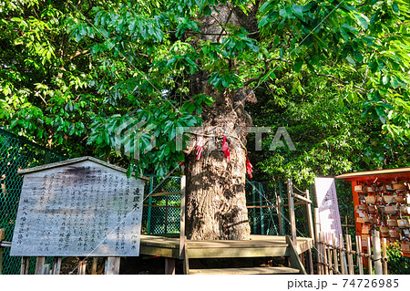 縁結びの杜、城山八幡宮〈愛知県名古屋市〉 74726985