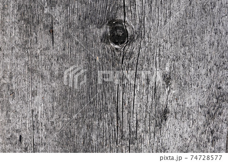 gray old wooden board. background gray old wooden board. background 74728577