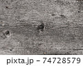 gray old wooden board. background 74728579