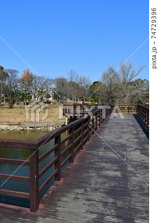 冬の旭公園 咲き始めの梅林 冬のさくら 冬の旭公園 咲き始めの梅林 冬のさくら 74729396