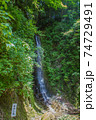 夏の金神の滝の風景 74729491