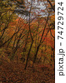 秋の吹割渓谷の風景 74729724