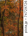 秋の吹割渓谷の風景 74729726