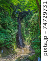 夏の金神の滝の風景 74729731