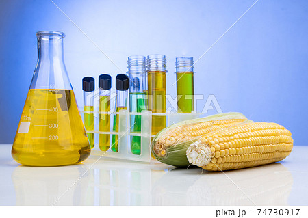 Ethanol biofuel derived from corn maze with beaker test tubes in laboratory Ethanol biofuel derived from corn maze with beaker test tubes in laboratory 74730917