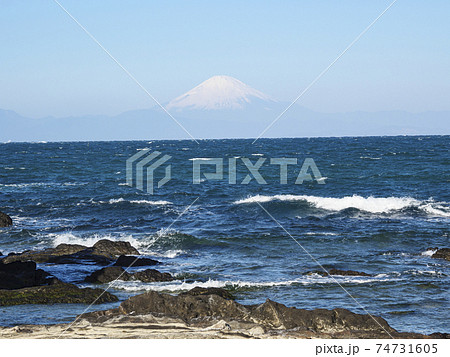 湘南三浦半島の神奈川県横須賀市和田長浜の早春 74731605