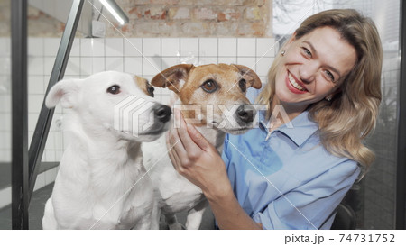 Cheerful female vet smiling to the camera while petting cute dogs 74731752