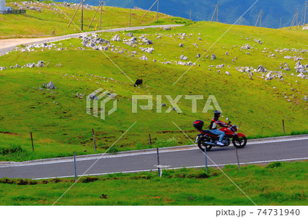 四国カルスト・牛を眺めながら天空の道を進むオートバイ・姫鶴平付近・愛媛県・高知県(4) 四国カルスト・牛を眺めながら天空の道を進むオートバイ・姫鶴平付近・愛媛県・高知県(4) 74731940