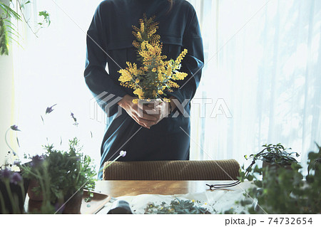 黄色の花のミモザを持つ女性 黄色の花のミモザを持つ女性 74732654