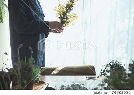 黄色の花のミモザを持つ女性 黄色の花のミモザを持つ女性 74732656