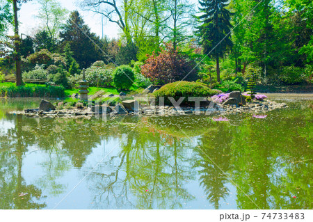 botanical garden of Wroclaw, Poland 74733483