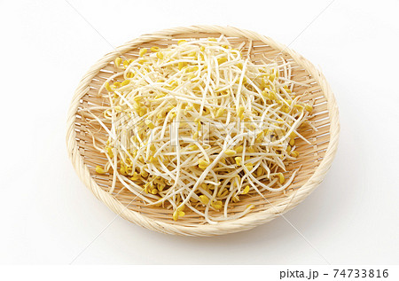 豆モヤシ 豆モヤシ 74733816
