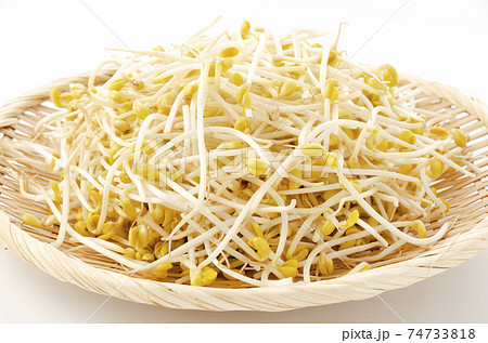 豆モヤシ 豆モヤシ 74733818