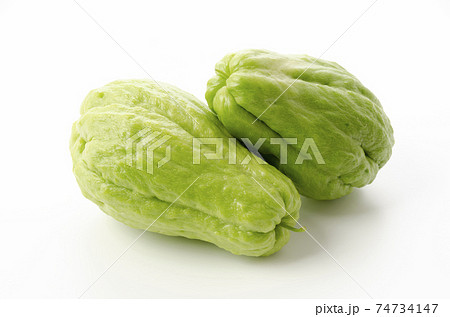 ハヤトウリ ハヤトウリ 74734147