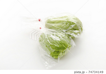 ハヤトウリ 袋入り ハヤトウリ 袋入り 74734149