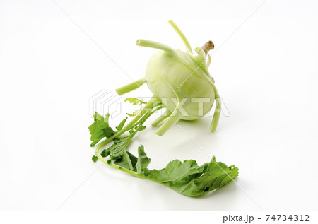 コールラビ 74734312