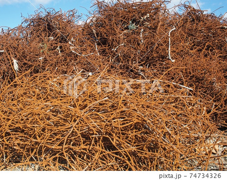 3.11東日本大震災 陸前高田 3.11東日本大震災 陸前高田 74734326