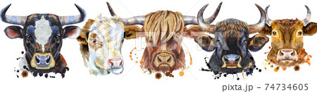 Border from watercolor portraits of bulls for decoration 74734605