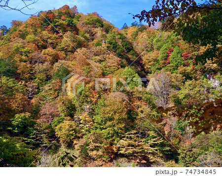 栃木県 日光市 奥鬼怒遊歩道の紅葉2 栃木県 日光市 奥鬼怒遊歩道の紅葉2 74734845