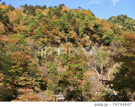 栃木県　日光市　奥鬼怒遊歩道の紅葉3 74734847