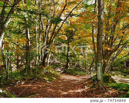 栃木県　日光市　奥鬼怒遊歩道の紅葉5 74734849