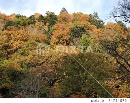 栃木県　日光市　奥鬼怒温泉郷の紅葉5 74734876