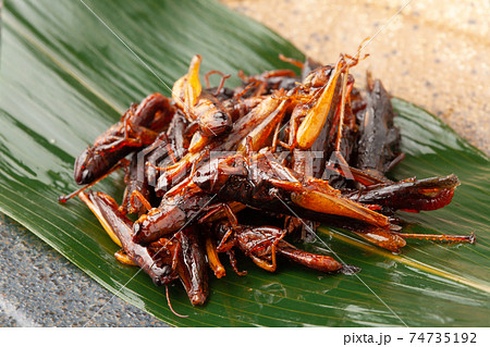 イナゴの佃煮 74735192