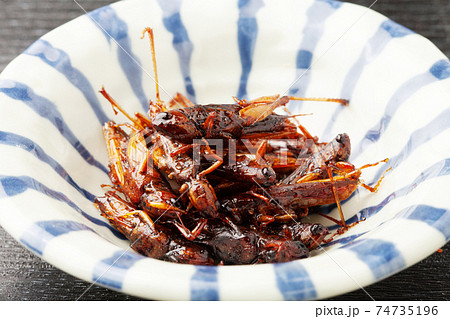イナゴの佃煮 イナゴの佃煮 74735196