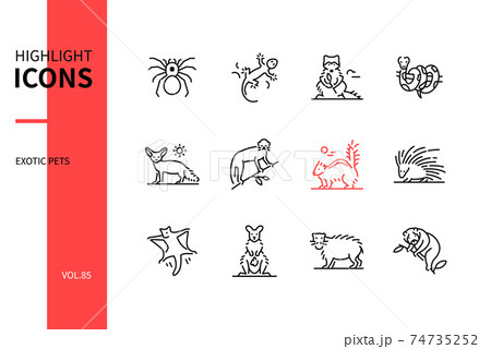 Exotic pets - modern line design style icons set 74735252