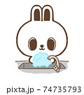 手を洗ううさぎ 74735793
