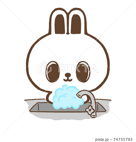 手を洗ううさぎ 74735793
