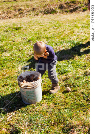 The help of little helpers is priceless 74736055