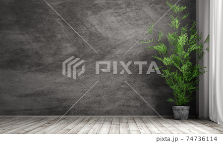 Interior background of room with black stucco wall and pot with plant 3d rendering 74736114