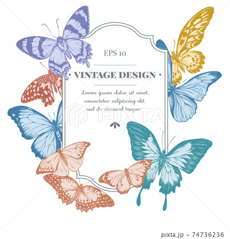 Badge design with pastel blue morpho, red lacewing, african giant swallowtail, alcides agathyrsus Badge design with pastel blue morpho, red lacewing, african giant swallowtail, alcides agathyrsus 74736236