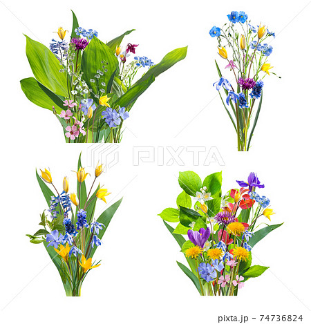 Bouquets from spring wild flowers isolated Bouquets from spring wild flowers isolated 74736824