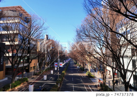 【渋谷区】冬の表参道 74737378