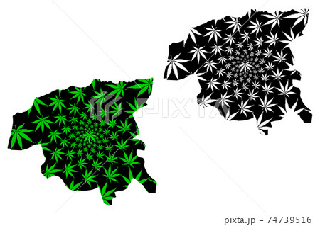 Chlef Province (Provinces of Algeria, Peoples Democratic Republic of Algeria) map is designed cannabis leaf green and black, Chlef map made of marijuana (marihuana,THC) foliage.... 74739516