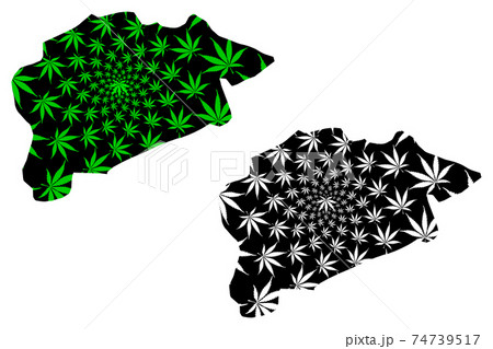 Guelma Province (Provinces of Algeria, Peoples Democratic Republic of Algeria) map is designed cannabis leaf green and black, Guelma map made of marijuana (marihuana,THC) foliage.... 74739517