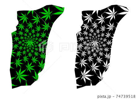 Ghardaia Province (Provinces of Algeria, Peoples Democratic Republic of Algeria) map is designed cannabis leaf green and black, Ghardaia map made of marijuana (marihuana,THC) foliage.... 74739518